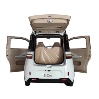 E zen 13 avec logo 1