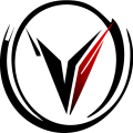 Logo vizion